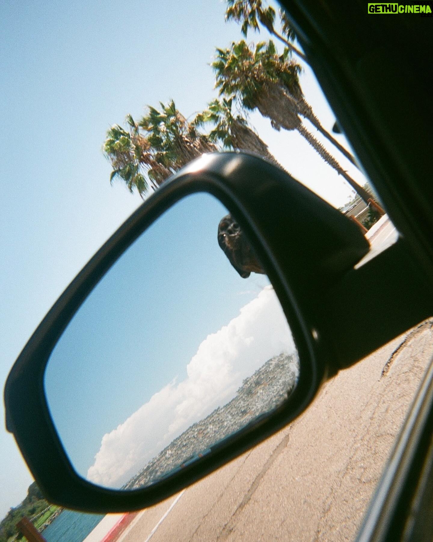 Danielle Mathers - 3 Likes - Oh Summer βοΈ
You did me dirtyβ¦
Iβm welcoming Fall with open arms π
β’
β’
β’
#filmdump #summer2023 #adios #sandiego #pacificbeach