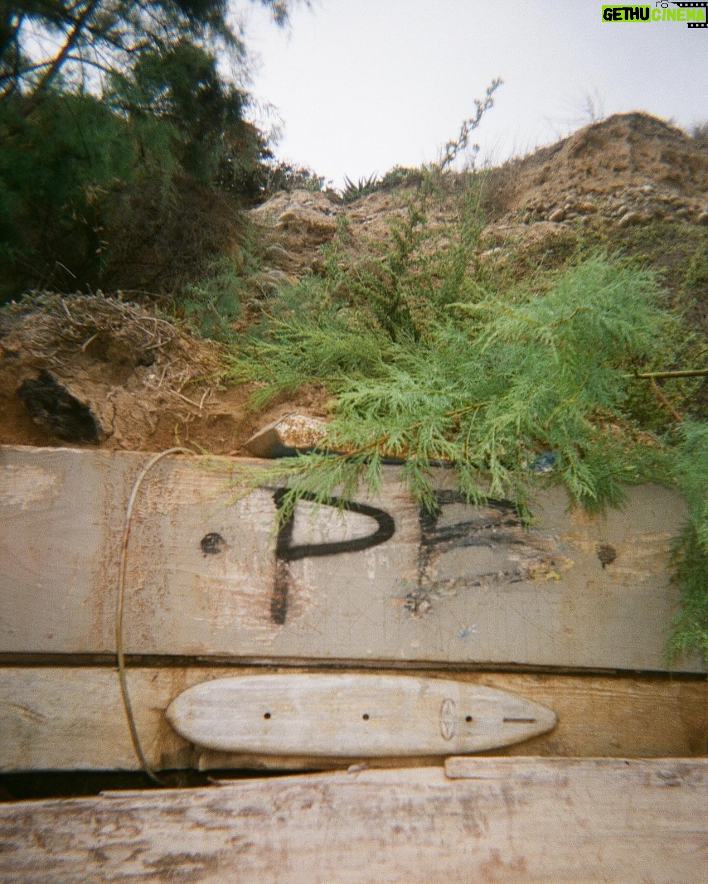 Danielle Mathers - 3 Likes - Oh Summer βοΈ
You did me dirtyβ¦
Iβm welcoming Fall with open arms π
β’
β’
β’
#filmdump #summer2023 #adios #sandiego #pacificbeach