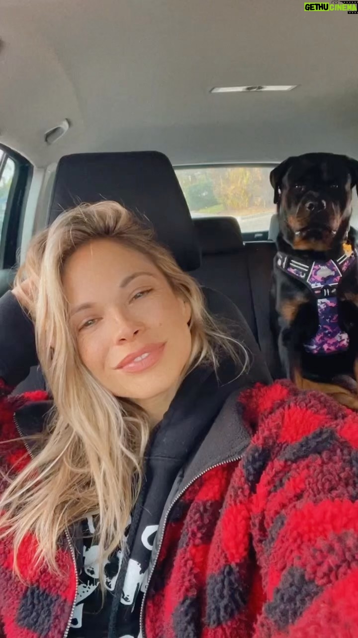 Danielle Mathers - 1K Likes - Rottweiler mode activated
πβπ¦Ίπ¦΄πΎπ
ππ