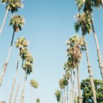 Danielle Mathers Instagram - 🖤 film dump • home