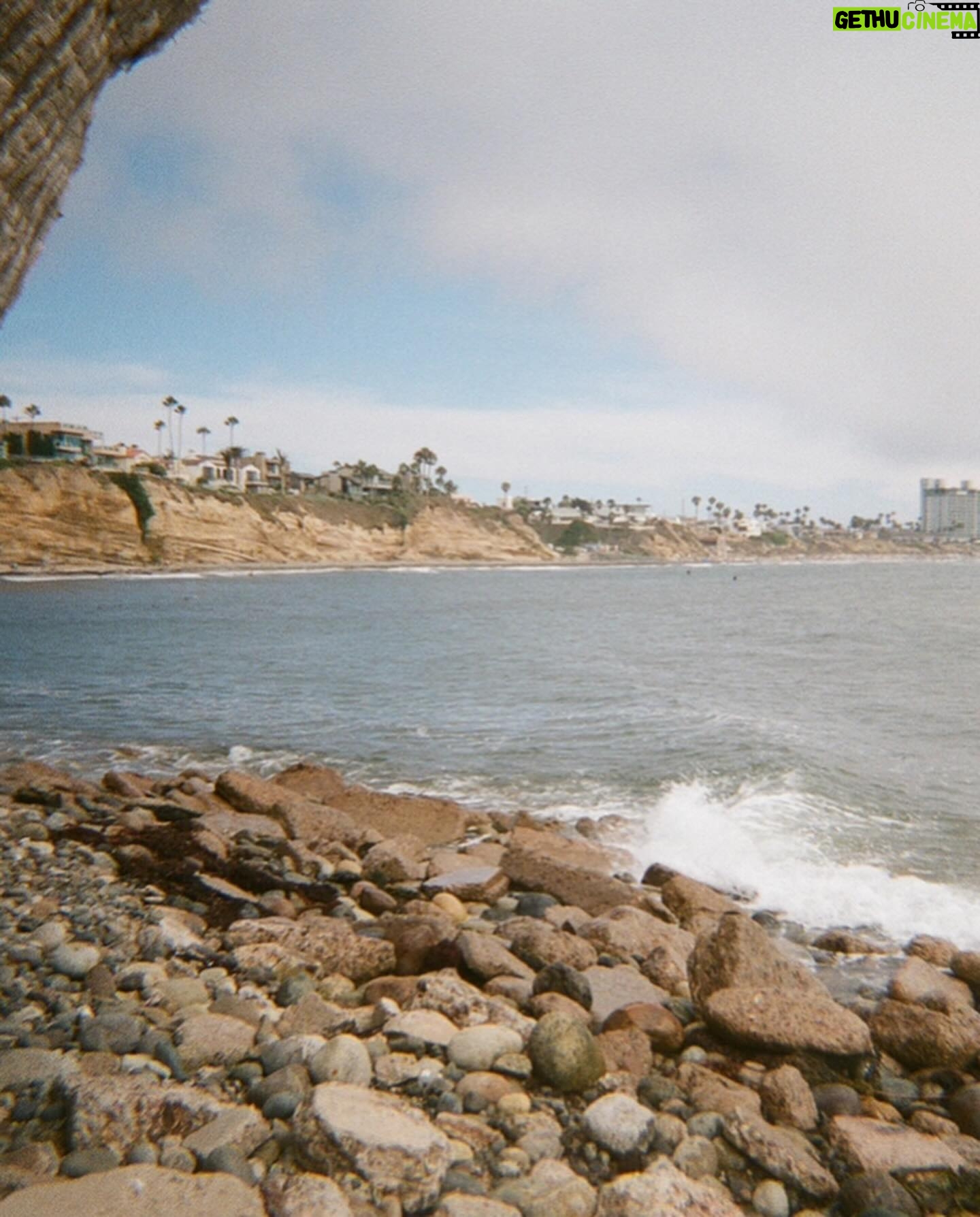 Danielle Mathers - 3 Likes - Oh Summer βοΈ
You did me dirtyβ¦
Iβm welcoming Fall with open arms π
β’
β’
β’
#filmdump #summer2023 #adios #sandiego #pacificbeach
