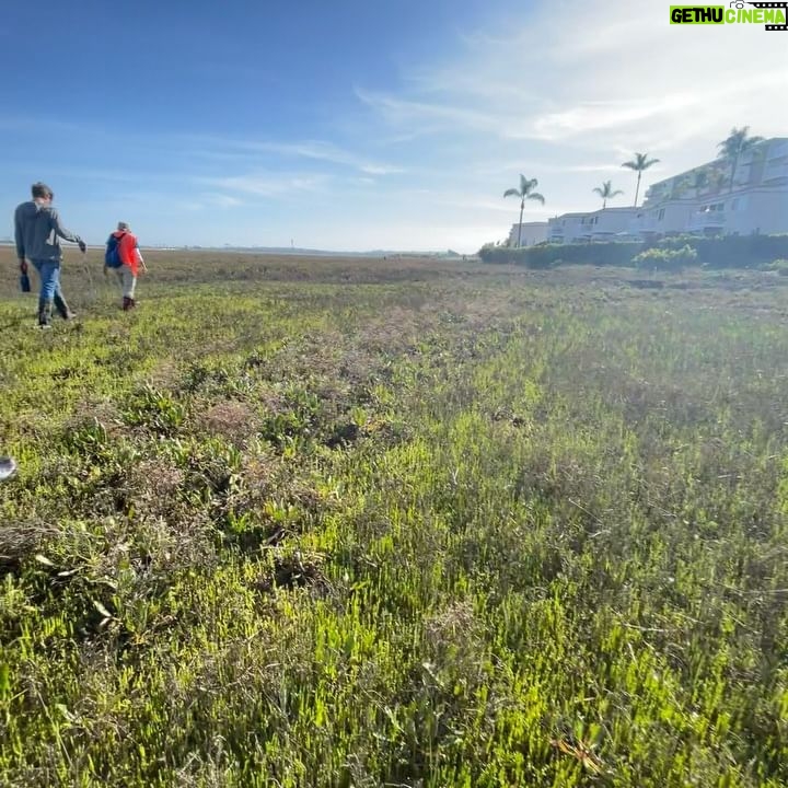 Danielle Mathers Instagram - I couldn’t be more thankful for the incredible turnout over the weekend at ♥️ Your Wetlands Day at #kendallfrostreserve ‼️ I’m feeling gratitude for all of the people who care to protect and expand this natural beauty with me! • • • • #loveyourwetlandsday #kendallfrost #kendallfrostmarshreserve #sandiego #rewild #missionbay #grateful