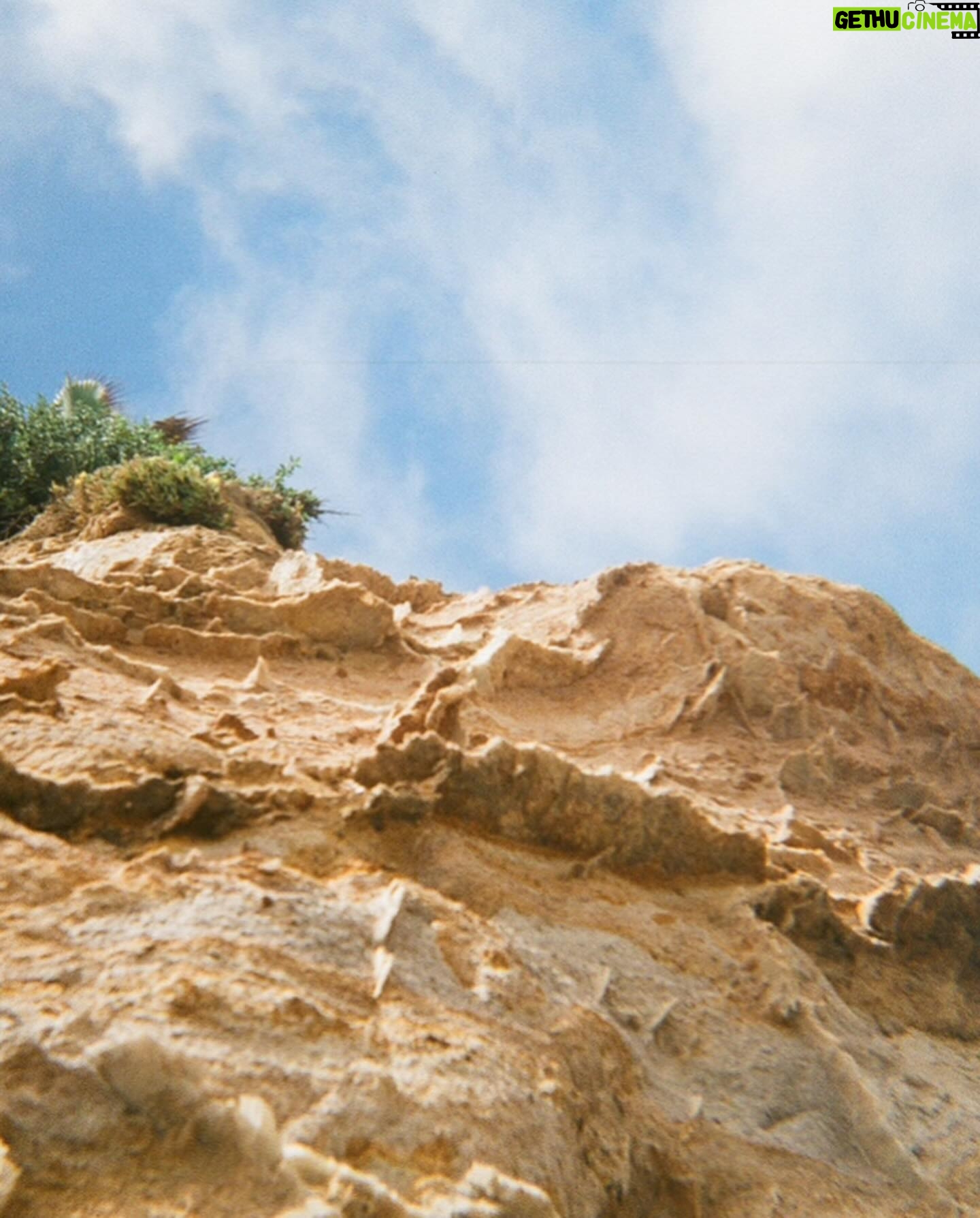 Danielle Mathers - 3 Likes - Oh Summer βοΈ
You did me dirtyβ¦
Iβm welcoming Fall with open arms π
β’
β’
β’
#filmdump #summer2023 #adios #sandiego #pacificbeach