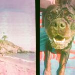 Danielle Mathers Instagram - Sol Playa Y en la arena Vamo allá 📸 • • • • #sol #playa #vamoalla #onfilm #35mm #lagunabeach #california #livin #summertime #comeback #porfavor #ahora #murphymathers #baby #beachbums