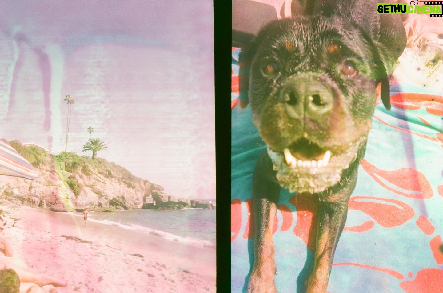 Danielle Mathers Instagram - Sol Playa Y en la arena Vamo allá 📸 • • • • #sol #playa #vamoalla #onfilm #35mm #lagunabeach #california #livin #summertime #comeback #porfavor #ahora #murphymathers #baby #beachbums