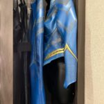 Danielle Nicolet Instagram – Call me: VIRTUE! About last night… The first time I found my Supah-Suit hanging in my trailer I squealed! 😁 What a fantastic way to close out this incredible journey on #TheFlash – with my very own Superhero name and suit! 🙌🏽🦸🏽♀️ – even Biggie loved it! Thank you so much Jonathan Butler and Sarah Tarkoff for writing this awesome episode!