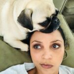 Danielle Nicolet Instagram - 2021 photo dump. A year full of change, growth… and LOTS of pics of Biggie. Book report: Had some fun being bad on Flash ⚡️, wrote a little movie 🎥, finally got to see pops 🥰, had fun in the sun with bestie @kaylacheriecompton 💕, and borders couldn’t keep me and my ride or die @michaelkussman apart. (And yes, I took Biggie out on the SUP. He only hates me a little bit 😂) Here’s to new adventures in 2022! 🥂