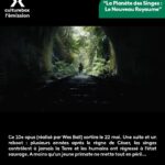 Daphné Bürki Instagram - Qu’allez-vous voir au cinéma en 2024 en VO ? Dîtes-nous tout en commentaire ! Alors que sort le 17 janvier le très attendu “Pauvres créatures” (de Yórgos Lánthimos avec Emma Stone, Mark Ruffalo), @cultureboxlemission vous a fait une sélection (subjective) des films et blockbusters en VO à ne surtout pas rater les 12 prochains mois de l’année ! #cinema #blockbuster #pixar
