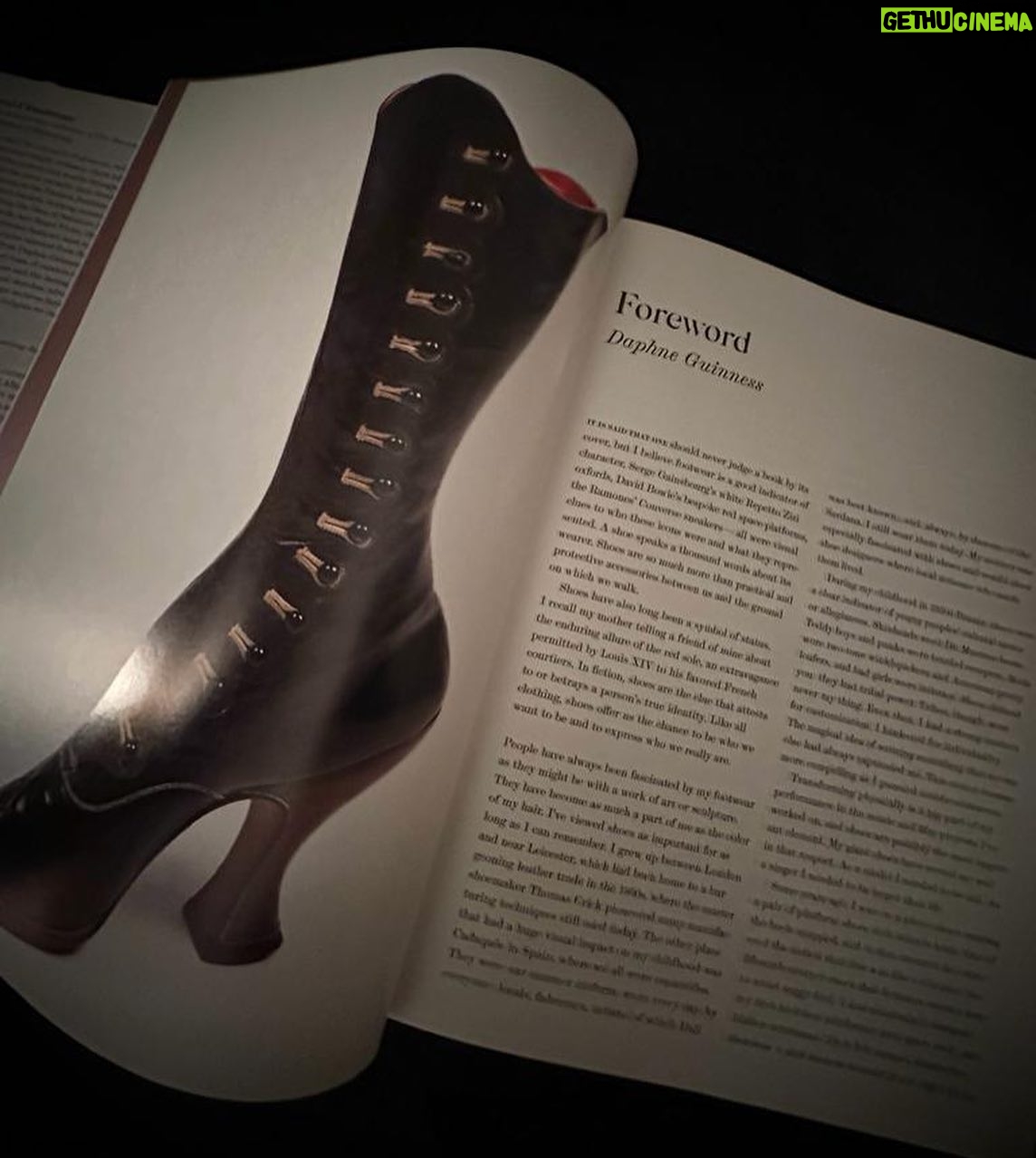 Daphne Guinness Instagram - Been my very great honour to write the forward to this amazing book!! 📖✨👠💫🤍 Published by @taschen @museumatfit