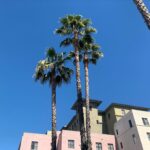 Darby Stanchfield Instagram – 🌴looking 🌴forward 🌴