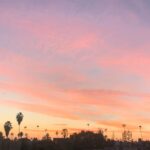 Darby Stanchfield Instagram – LA winter days & nights: residing high above the drama. ☀️🌴✨😎