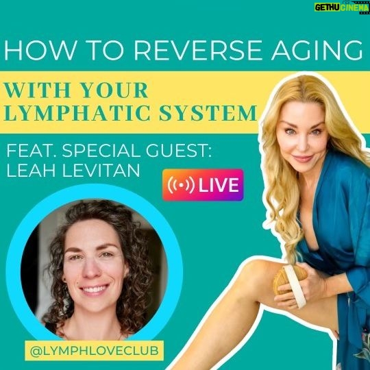 Darnell Cox - 359 Likes - Have questions about Lymphatic Drainage❓
👀Watch this LIVE SHOW to learn all about lymphatics with special guest Leah Levitan @lymphloveclub!☺️
✨Leah is a licensed massage therapist and certified lymphedema therapist. Her clinic, located in central Austin, delivers next-level lymphatic drainage to women with complex cases of chronic illness/disease to help them unlock their highest healing potential.
✨She’s also the founder of Lymph Love Club and calls herself a “Lymph Literacy Advocate”.
Hmmm how bout
Want to learn lymphatic drainage for real? Snag an online course from an expert that teaches you the anatomy, physiology, and application of lymphatic drainage and over lymph lovin’ modalities, tips, and tricks to optimize your lymphatic health.
On today’s live, we will be answering questions such as👇
➡️What does lymphatic drainage do?
➡️How does lymphatic drainage work?
➡️What can you do to support lymphatic drainage?
✨Want to work with me 1:1 so you can learn how to “Live Young” inside and out?
💬DM me "coaching" to learn more!
➡️If you just have one quick question about how to look and feel younger, subscribe to the Live Young IG Club, where I answer your questions with exclusive content!😚
#LookYoungerLonger #Over50Skin #Lymphatics #LymphaticDrainage