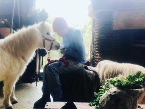 Daryl Hannah Instagram - Romeo in the house!!!
literally… 🦄