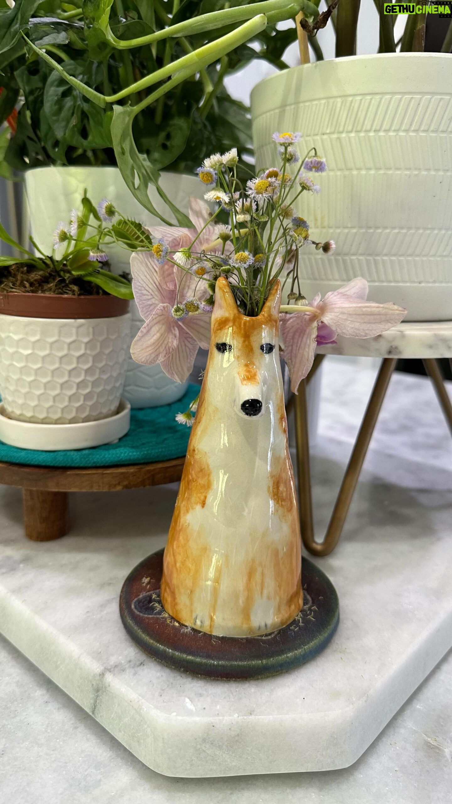 Dasha Kuret Gonzalez Instagram - Very grateful for my beautiful friend @xenaspack for inviting me to take this class with her @piante_design in #WinterPark #FL It was a great time,so different and very fun plus we got to unwind after a long day of work!!! #Crafting #PetVase #Pottery