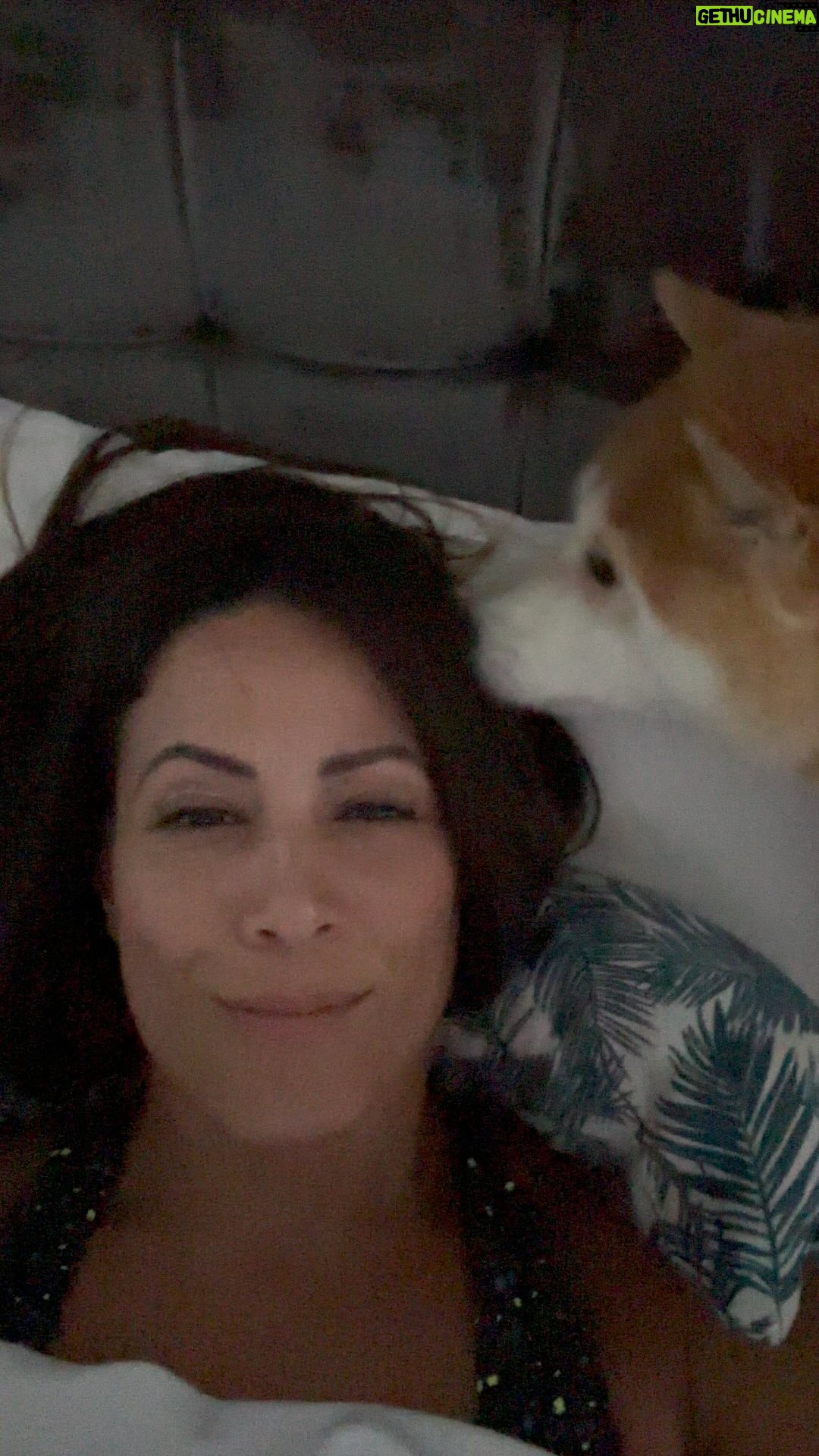 Dasha Kuret Gonzalez Instagram - Kaira is literally the sweetest pup I have ever met in my life and Iโm so grateful for her. ๐๐๐ฝ๐ค๐คฉ๐๐ Sheโs been doing this all of her life and even though I donโt quite know why she does it, it feels like this her way of hugging and getting her smell on you! Does anyone elseโs pup do this? Or know why dogs do this? #ShibaInu #cutedogs #DogsOfInstagram #Shiba
