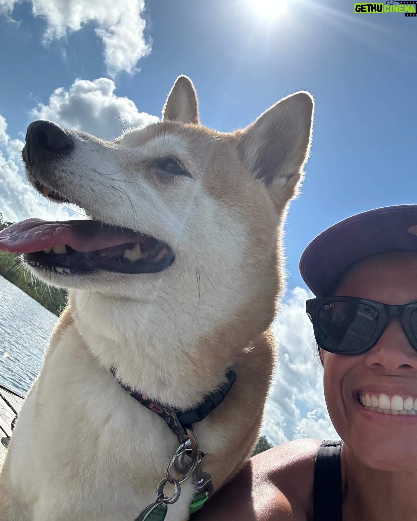 Dasha Kuret Gonzalez Instagram - My beautiful Kaira and me!!! She’s my bestie and always is there for me!!! I’ll never understand how she finds sleeping this way comfortable? 🤷🏽♀️😝 #ShibaInu #Kaira #dogsofinstagram #sunshine