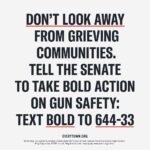 Dawn-Lyen Gardner Instagram - We have a gun violence crisis in America. More than 110 people die from gun violence each day, and it’s past time that the U.S. Senate does something about it. Call your senators and demand they #DontLookAway from this crisis: Text BOLD to 644-33 and @Everytown will connect you.