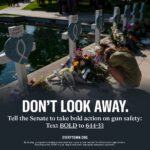 Dawn-Lyen Gardner Instagram - We have a gun violence crisis in America. More than 110 people die from gun violence each day, and it’s past time that the U.S. Senate does something about it. Call your senators and demand they #DontLookAway from this crisis: Text BOLD to 644-33 and @Everytown will connect you.