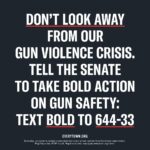 Dawn-Lyen Gardner Instagram - We have a gun violence crisis in America. More than 110 people die from gun violence each day, and it’s past time that the U.S. Senate does something about it. Call your senators and demand they #DontLookAway from this crisis: Text BOLD to 644-33 and @Everytown will connect you.