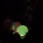 Daya Instagram - From the ᠻꪮ𝕣ꫀડ𝕥 🎈
