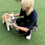Dayoung Instagram - ʜᴀᴘᴘʏ ᴄʜɪʟᴅʀᴇɴ’ꜱ ᴅᴀʏ !!!!!🐶 @・ꈊ・@🐾