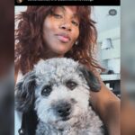 DeWanda Wise Instagram - Conversation with DeWanda Wise x Black Women Love Dogs ♥️🐾 • • #BlackWomenLoveDogs