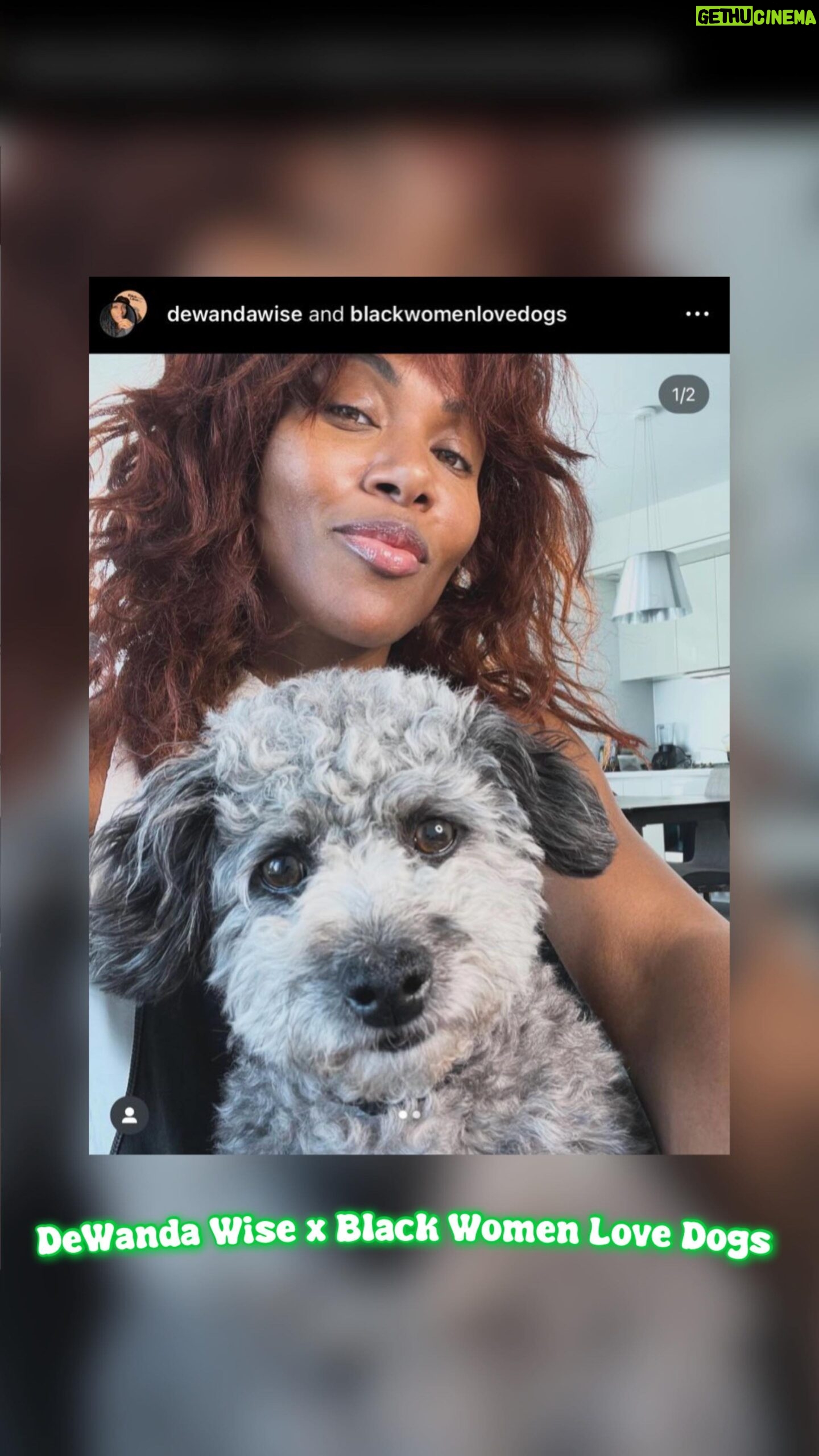 DeWanda Wise Instagram - Conversation with DeWanda Wise x Black Women Love Dogs ♥️🐾 • • #BlackWomenLoveDogs