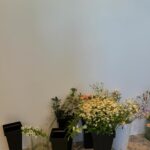 Debbie Garcia Instagram - The vibrant colors and delicate fragrances of flowers have a magical way of lifting spirits, bringing a smile, and infusing any space with energy and joy. Yesterday’s workshop. Tysm, @teamofloristeria 💐
