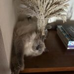 Debbie Garcia Instagram - POV : My camera roll