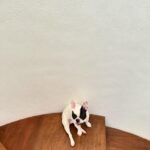 Debbie Garcia Instagram - POV : My camera roll