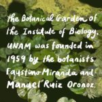 Debbie Millman Instagram - On visiting the Botanical Garden Biology Institute, Univeridad Nacional Autónoma de México, UNAM.