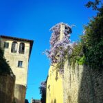 Debi Mazar Instagram - Wonderful Sunday walking with Fam & dogs through the fields❣️ #Toscana #Firenze #Primavera