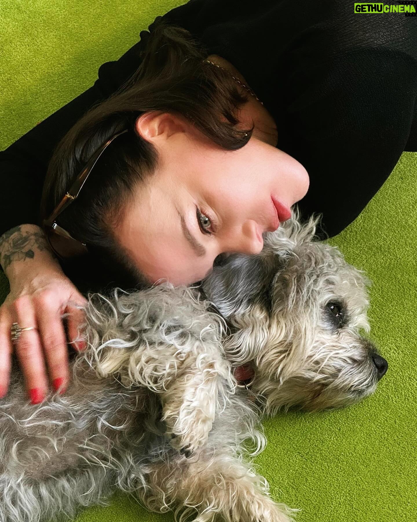 Debi Mazar Instagram - Hello NYC! I came & went, for a quick gig.Sorry to everyone that I couldn’t visit! I kept quiet&focused.4 days ..sigh. So weird to come home to my city/my DNA,and have zero time to see all whom I love.I did get to see Kim & Ruben,Robert &Crispy! That frittata,Kim,was off the hook! 🍳 Thankyou to my host @ilpostoaccanto @bealovesjul @jullovsbea for taking me in and feeding/inspiring me.Greatest love story ever❣️ The love was felt❤️ Didn’t take pics as I was too busy catching up.Phone down.. I had so much dog love with Hoda,Sketchy,Jojo & ZsaZsa!❤️ I’ll be back 🗽