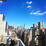 Debi Mazar Instagram - Hello NYC! I came & went, for a quick gig.Sorry to everyone that I couldn’t visit! I kept quiet&focused.4 days ..sigh. So weird to come home to my city/my DNA,and have zero time to see all whom I love.I did get to see Kim & Ruben,Robert &Crispy! That frittata,Kim,was off the hook! 🍳 Thankyou to my host @ilpostoaccanto @bealovesjul @jullovsbea for taking me in and feeding/inspiring me.Greatest love story ever❣️ The love was felt❤️ Didn’t take pics as I was too busy catching up.Phone down.. I had so much dog love with Hoda,Sketchy,Jojo & ZsaZsa!❤️ I’ll be back 🗽