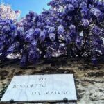 Debi Mazar Instagram - WISTERIA 💜 Italy is exploding with spring and the Wisteria is EVERYWHERE ❣️ I pinch myself with taking in all this beauty! I pull my car over and gaze ,smell ..jump back in and say “ahhhhhh” 💜