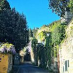 Debi Mazar Instagram - WISTERIA 💜 Italy is exploding with spring and the Wisteria is EVERYWHERE ❣️ I pinch myself with taking in all this beauty! I pull my car over and gaze ,smell ..jump back in and say “ahhhhhh” 💜