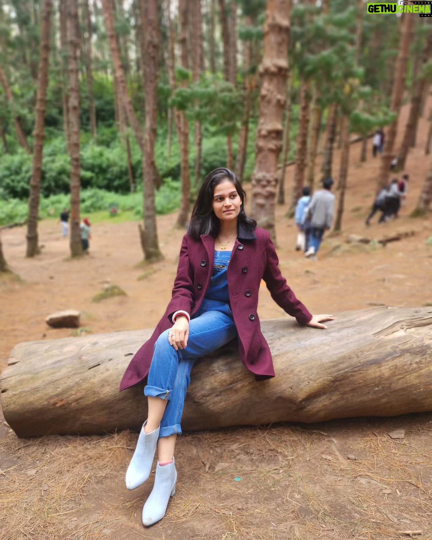 Deepika Tripathy - 2.3K Likes - #pine forest#ooty# nature#with husband#feeling awesome š#ā¤ļøā¤ļø #š§æ