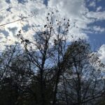 Deepti Naval Instagram – I just stood looking at the sky . . . How it changes . . . Humbles me!