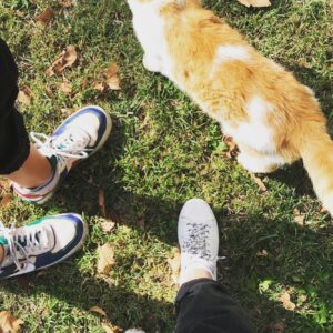 Defne Erşen Instagram - 4 Ekim Dünya hayvanlar günü kutlu olsun ❤️🐾