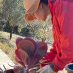 Defne Kayalar Instagram – 🪴