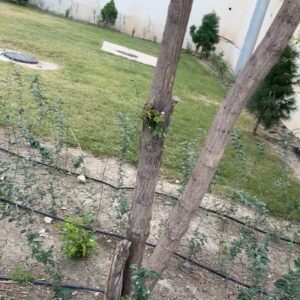 Delnya Mohammadi Instagram - ھەمیشە پێویستیان پێمانە 
تکایە میھرەبان بن لە گەڵیان  ئەم زەویە تەنھا موڵکی ئێمە نیە  ماڵی ئەوانیشە🙏🏻🦋