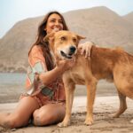 Delphine Wespiser Instagram - C’était au Cap Vert un peu avant Noël Rencontre inattendue sur la plage 🐚🐕 #capeverde #caboverde