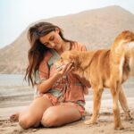 Delphine Wespiser Instagram - C’était au Cap Vert un peu avant Noël Rencontre inattendue sur la plage 🐚🐕 #capeverde #caboverde