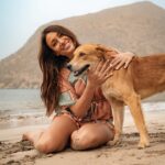 Delphine Wespiser Instagram - C’était au Cap Vert un peu avant Noël Rencontre inattendue sur la plage 🐚🐕 #capeverde #caboverde