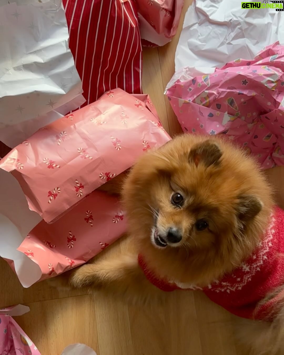 Denisse Peña - 11.2K Likes - 🎄🎀✨🐻❄️🕯️