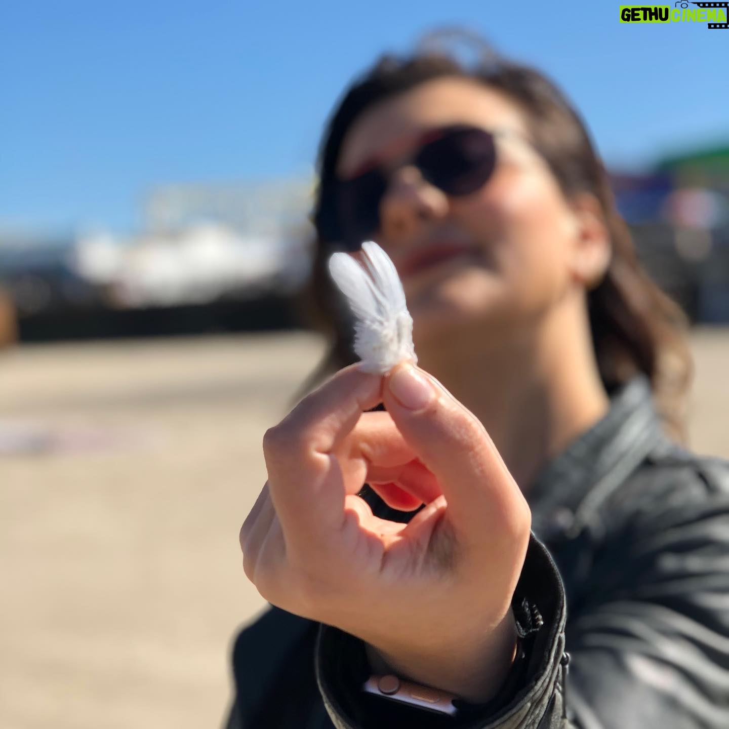 Deniz Bolışık - 2.4K Likes - Sanki her şey çok güneşliymişcesine…