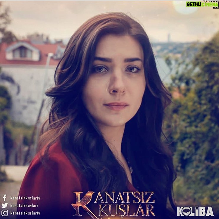 Deniz Bolışık - 4.8K Likes - ✨✨✨İyi Seyirler...✨✨✨
Kanatsız Kuşlar #tbt'si
1.Bölümden; 21.Bölüme
💫🍀💫🍀💫🍀