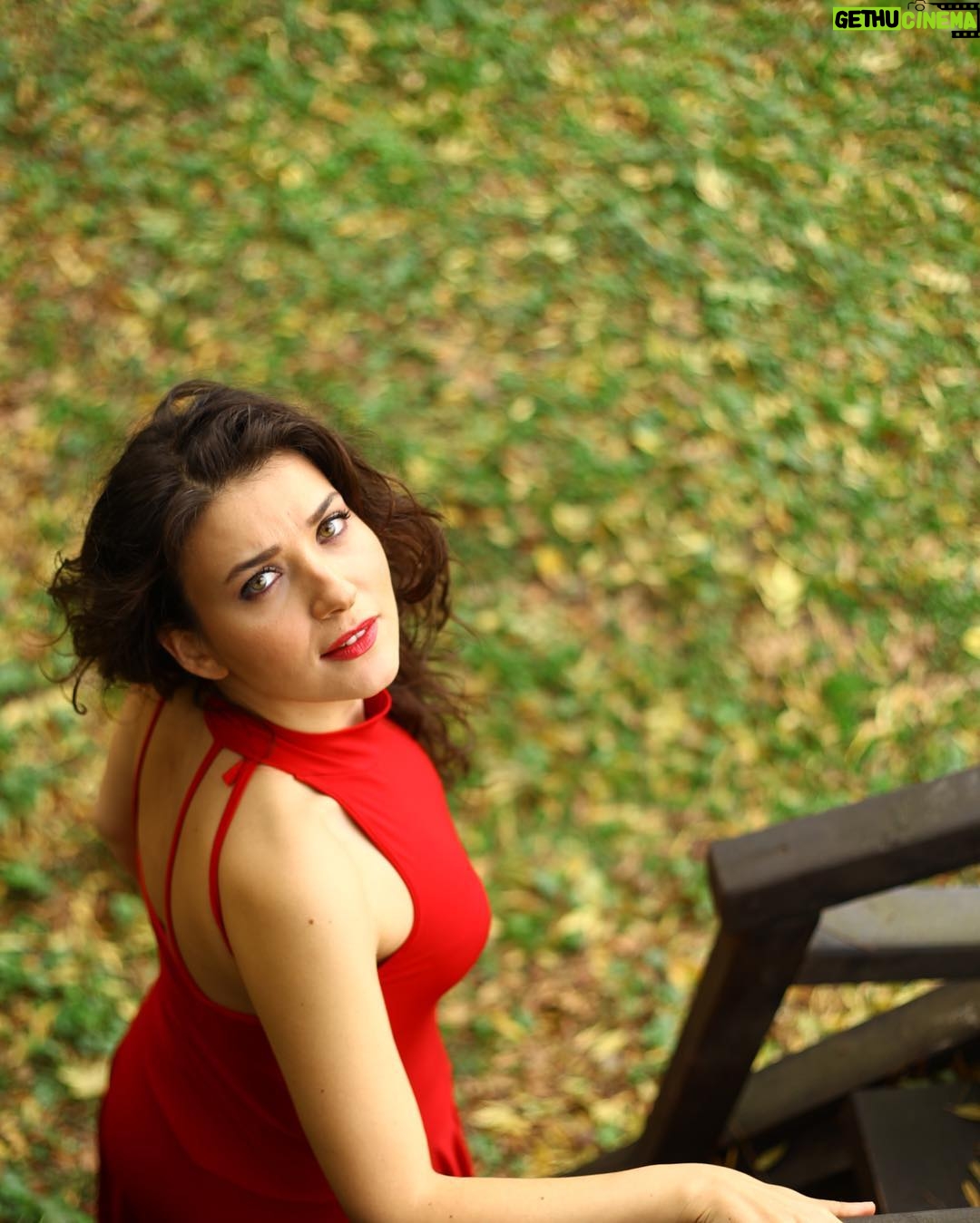 Deniz Bolışık - 2.3K Likes - Soğuğun rüzgarin fırtınanın ortasına, bir damla; bahardan kalan o güzel günü, güneşi sıcağı hatırlatan bakislar... Bu kış da gececek gidecek elbet... 📷by @ilkercihat