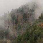 Deniz Barut Instagram – Çamlıhemşin, Fırtına Vadisi, Rize