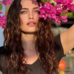 Deniz Durmaz Instagram - Bodrum güneşi… 🤍 Begonvil🌺